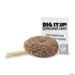 Mindware - Dig It Up! 12 Days of Dig It Up - Dinosaur Eggs Toy