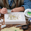 Mindware - Dig It Up! Deluxe Excavation Kit Toy