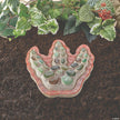Mindware - Paint - Your - Own Stepping Stone - Dinosaur