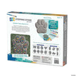 Mindware - Paint - Your - Own Stepping Stone - Paw Print