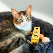 Mini Cat Wet Floor Sign