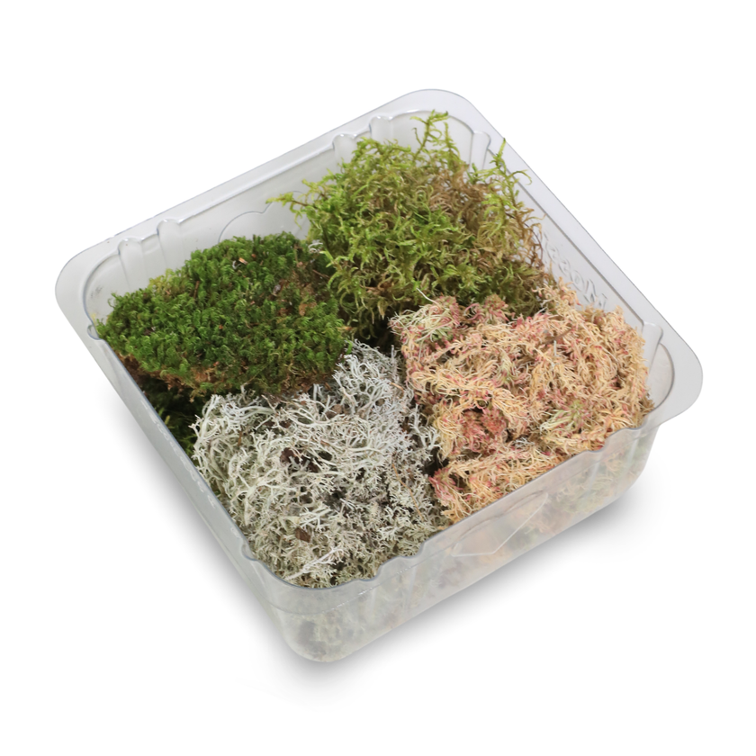 Revita-Moss™ Mixed Pack