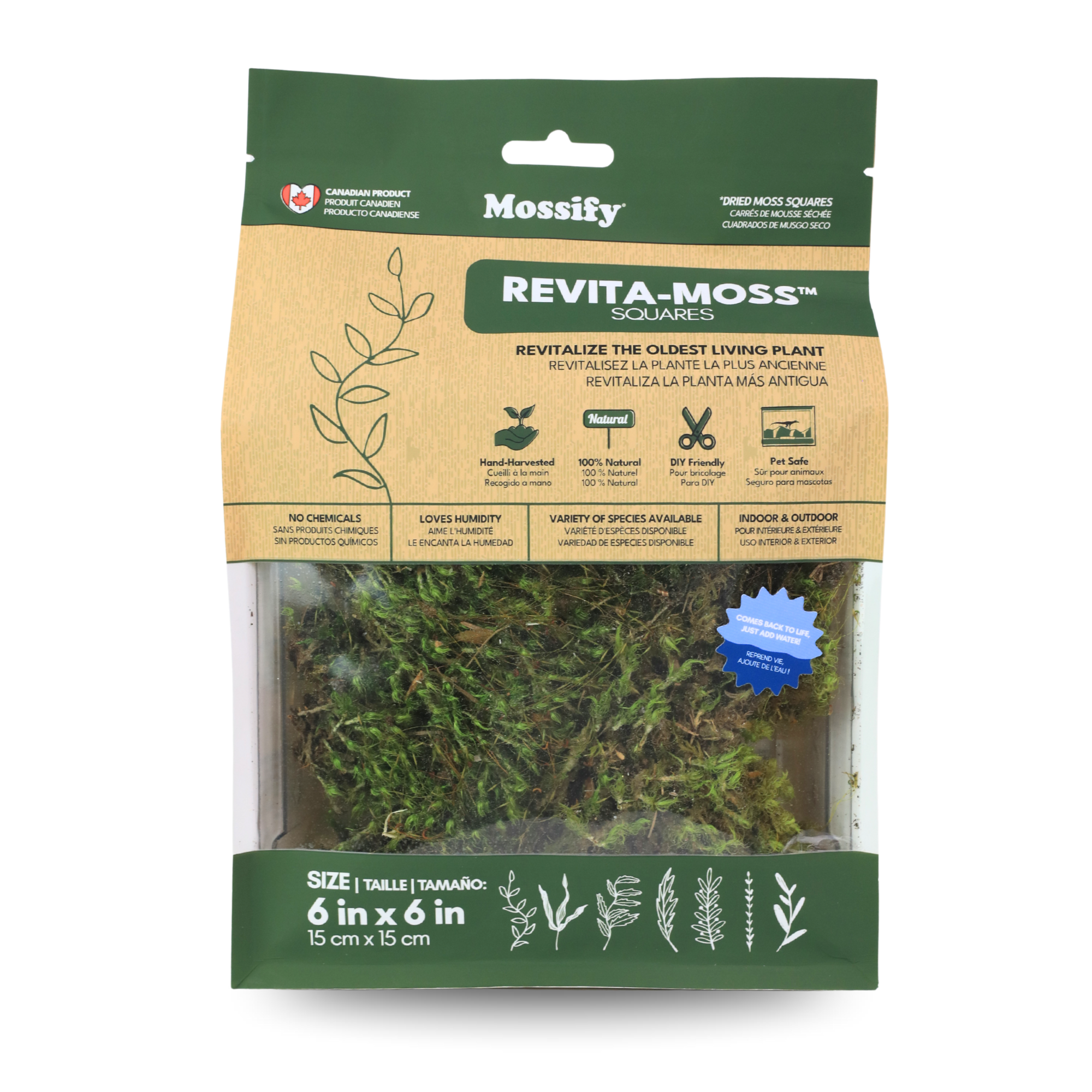 Mood Moss - Revita-Moss (Dicranum)