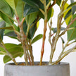 Moralilo Potted Faux Watercress Plant