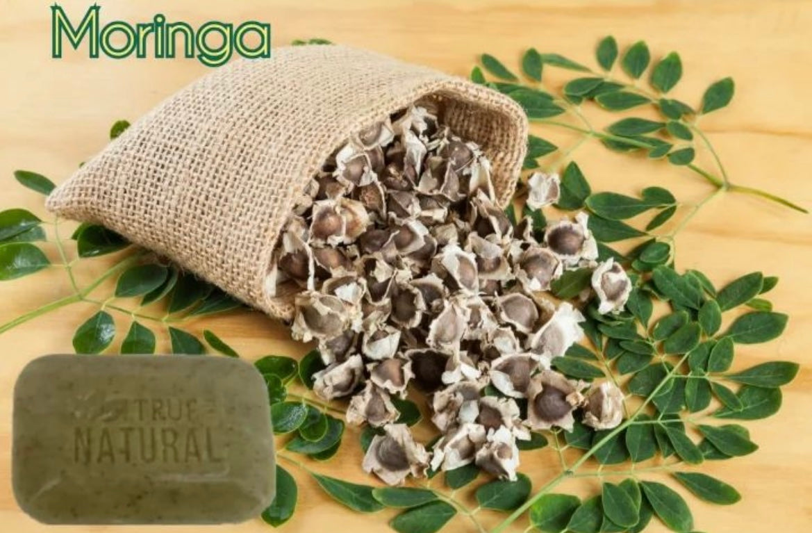 MORINGA FACE & BODY BAR