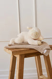 Plush - Lambie the Lamb - Snuggle Bunnies