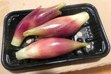 SE: Japanese Myoga Ginger (3 PCS)