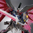 HG 1/144 Destiny Gundam Spec II (Clear Color)