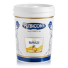 Mango Spreadable Filling Cream - Cremino Mango - 5 KG Bucket - Rubicone Canada - Ships Free Within Canada on Orders Above CAD $199