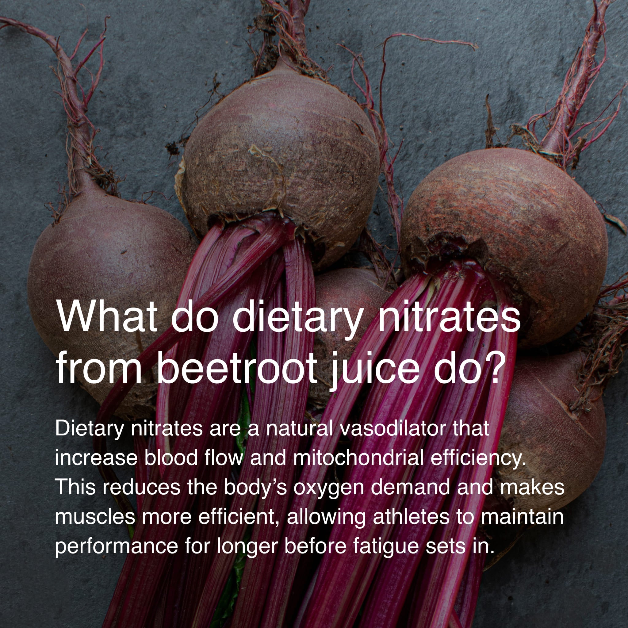 Beet It Sport Nitrate 400
