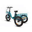 NEW-TRIKE 1.0