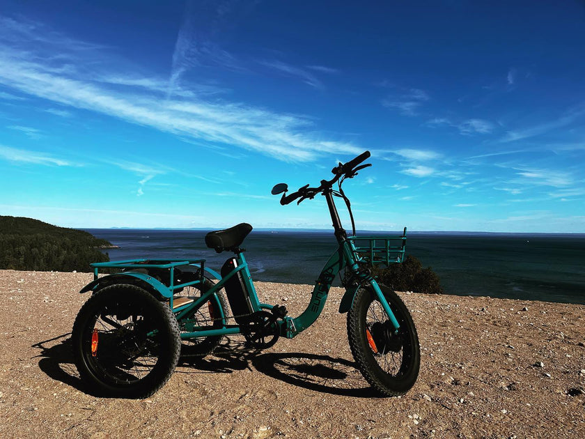 NEW-TRIKE 1.0