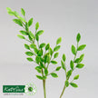 Flower Pro Wedding Foliage Silicone Mould