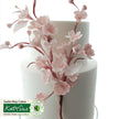 Flower Pro Blossoms Mould and Veiner
