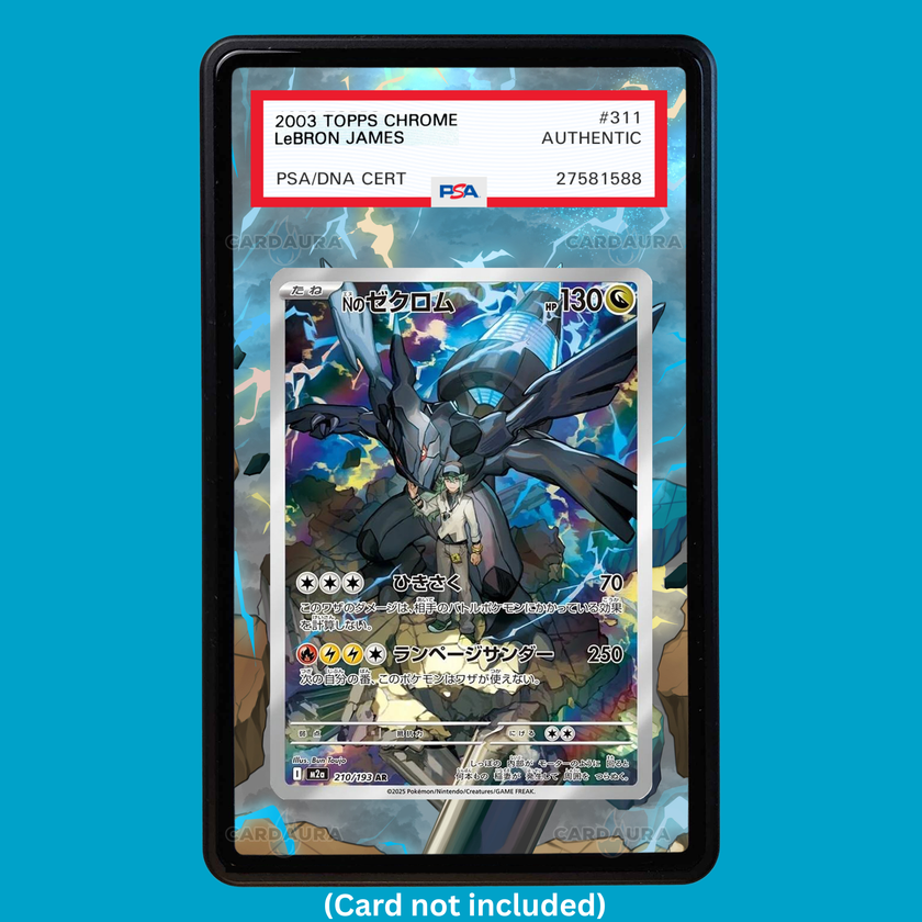 N's Zekrom 031 Ascended Heroes (Graded) Display Case