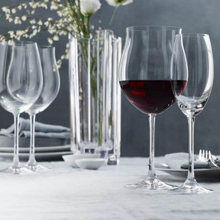 Nachtmann - VIVENDI Stemmed Spirit (Set of 4)