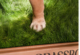 GrassBox