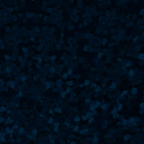 XVINYL Holographic Sparkle HTV - Heat Transfer Vinyl (Navy Blue), 12x10
