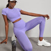 Women's 2-Piece Gym Set – High Waist Hip Lift Leggings & Crop Top Quick-Dry Yoga Workout Clothes