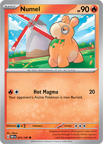 Numel 031/197