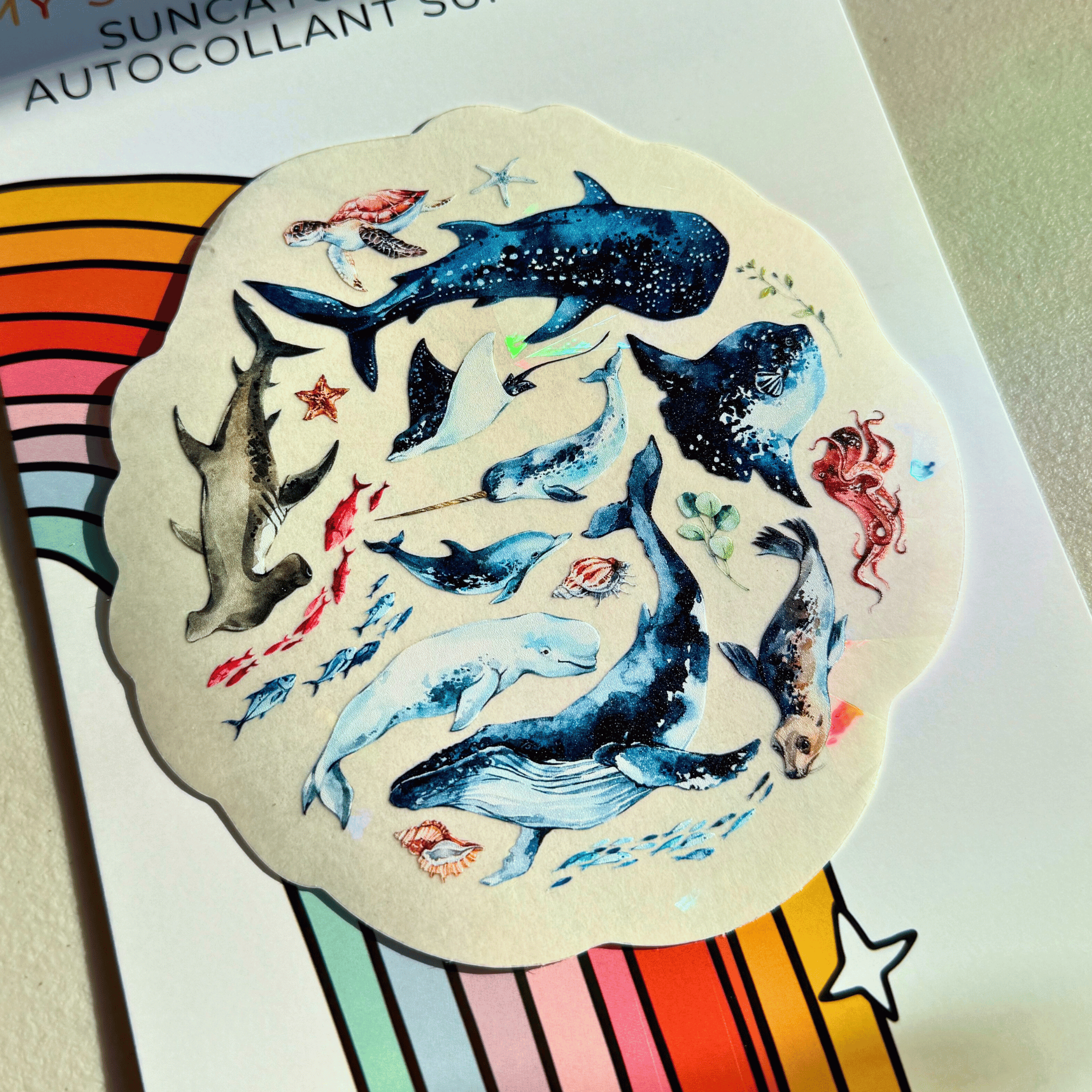 Deep Sea Suncatcher Sticker