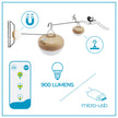 Okinawa<br> Solar-charged Floor Lamp