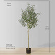 Oli Artificial Olive Tree Potted Plant (Multiple Sizes)