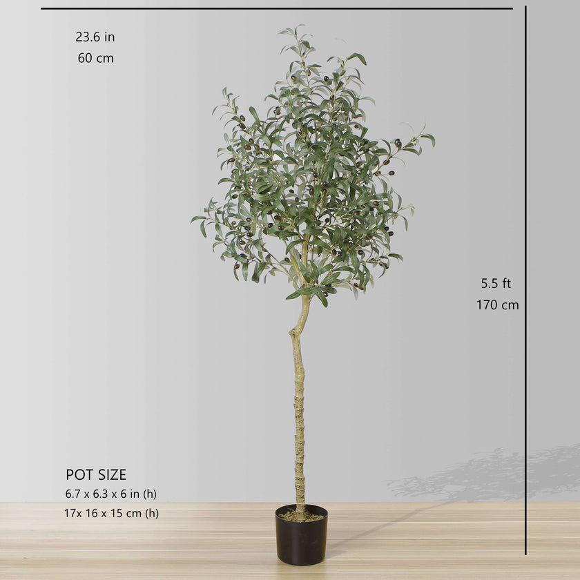 Oli Artificial Olive Tree Potted Plant (Multiple Sizes)