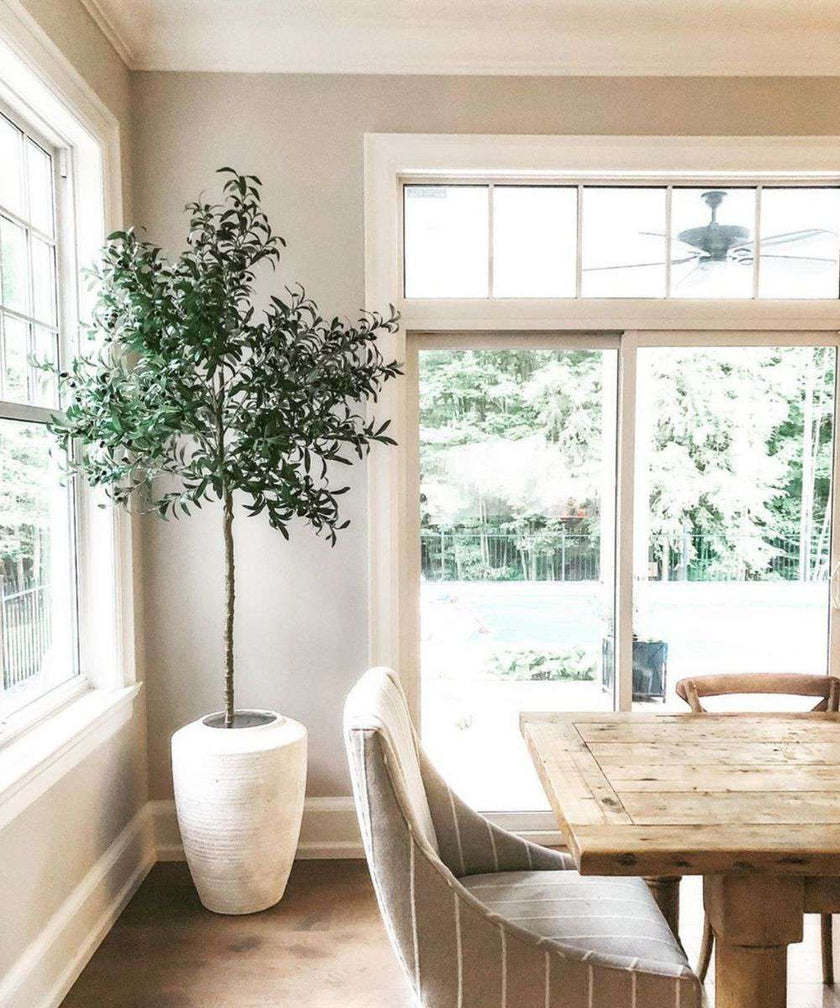 Oli Artificial Olive Tree Potted Plant (Multiple Sizes)