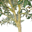 Olidia Artificial Olive Tree 10'