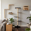Noba Mural System Kit- The Vertical Playground