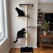 72 inches Wall Mounted Cat Tower - Perfect for small spaces