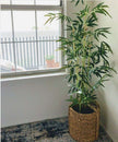 Osos Artificial Korea Bamboo Potted Plant (Multiple Sizes)
