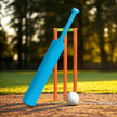 OUT to PLAY - CRICKET SET