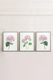 BLOSSOMING TRIO (3 Oeuvres sur toile étirée)