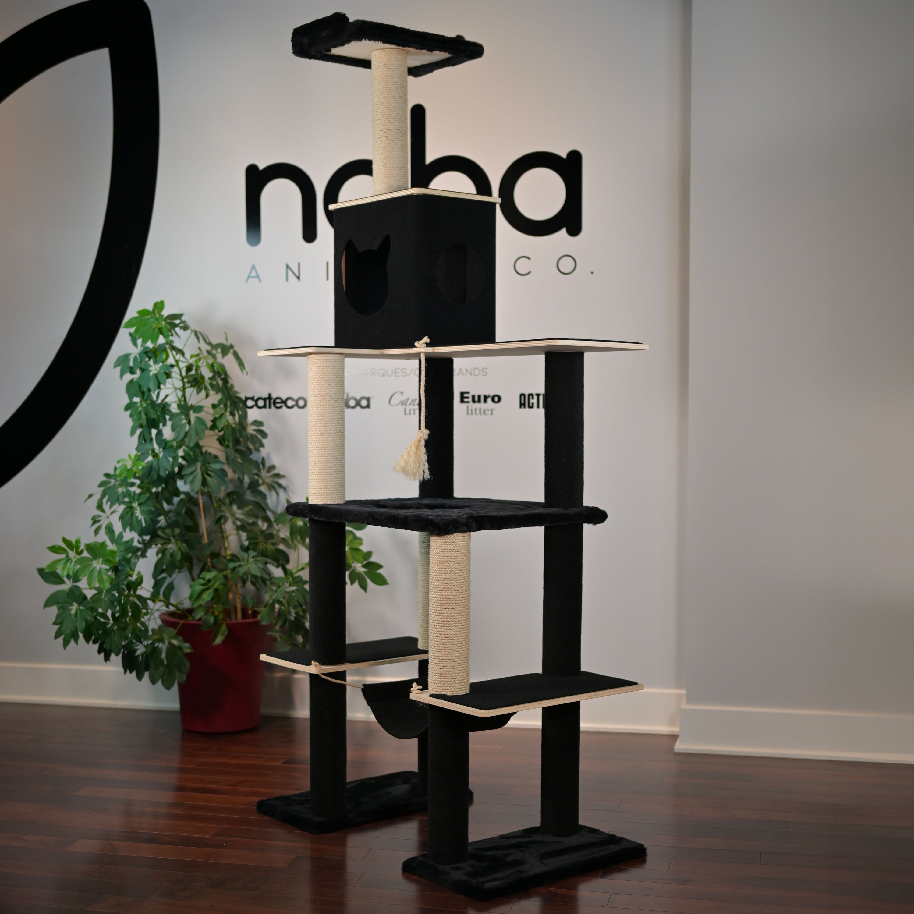 Noba Supreme 81
