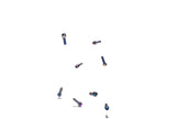 Oil Slick Bolts (8 Pack)