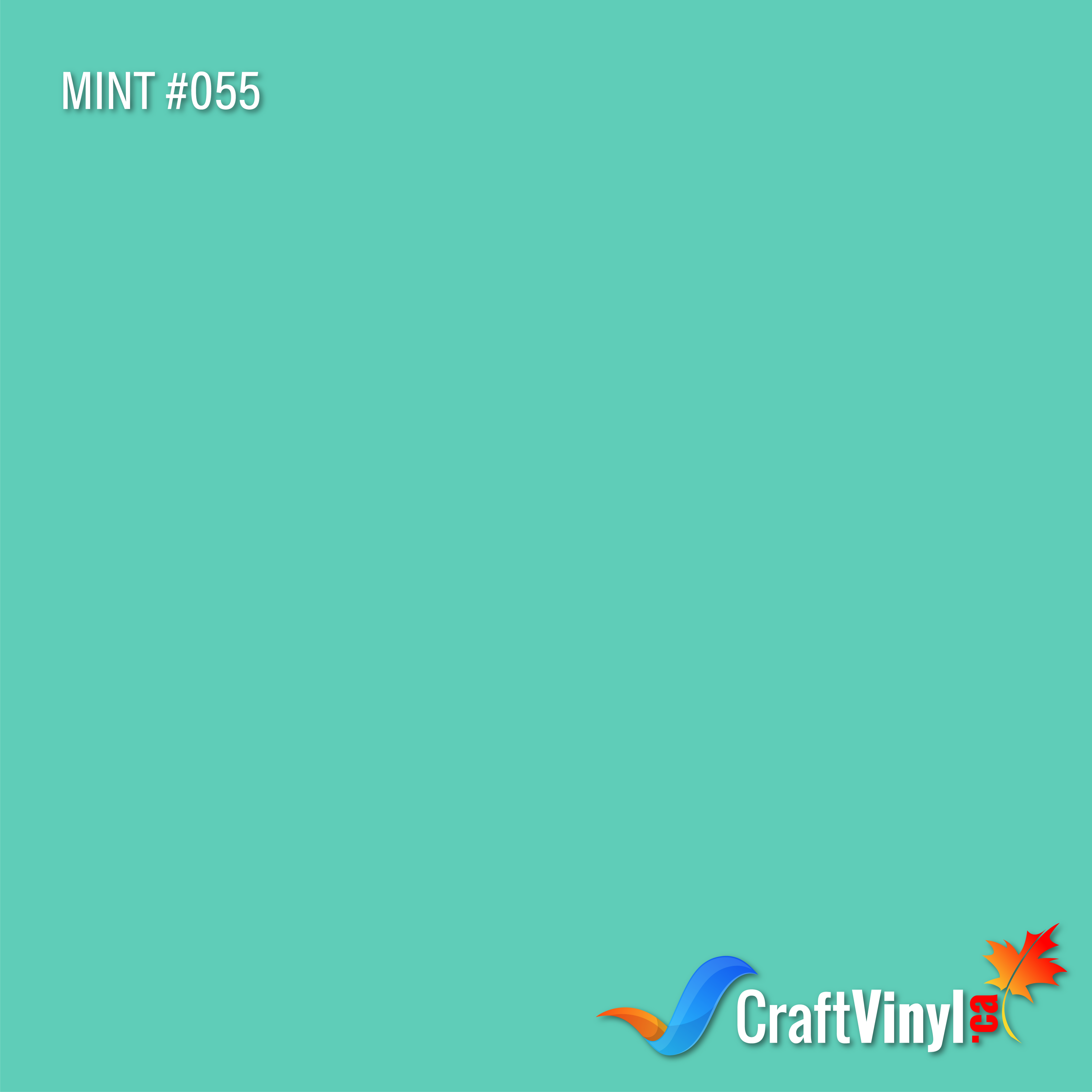 Oracal 651 Glossy Mint Vinyl #055