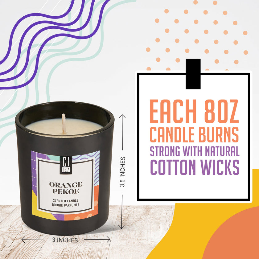 Orange Pekoe Soy Wax Candle - Sage & Driftwood - 8 oz