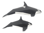 Orca Family