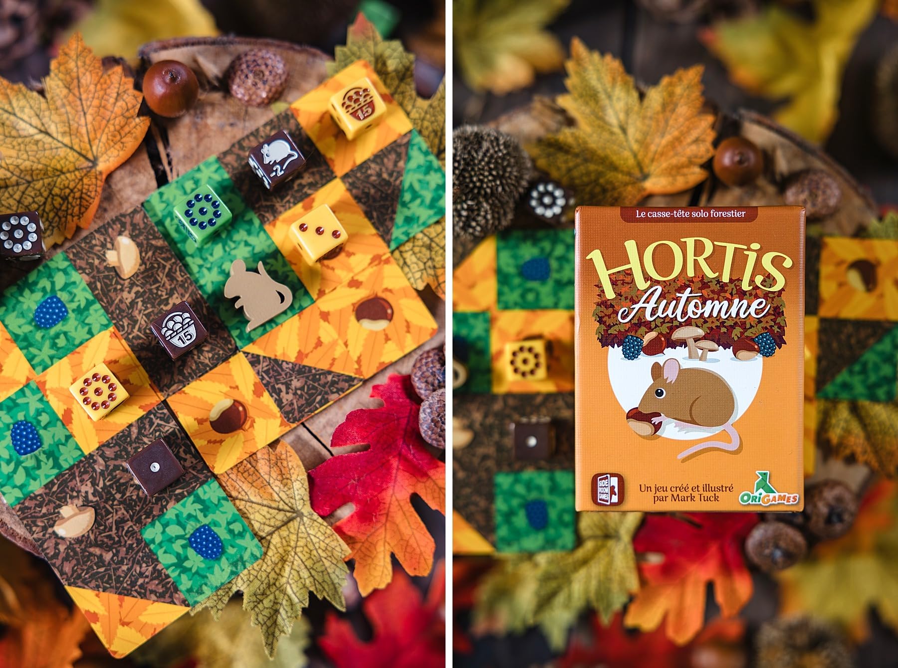 Origames - HORTIS AUTOMNE