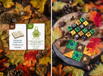 Origames - HORTIS AUTOMNE