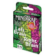 Outset Media - Mindtrap - Left Brain Right Brain