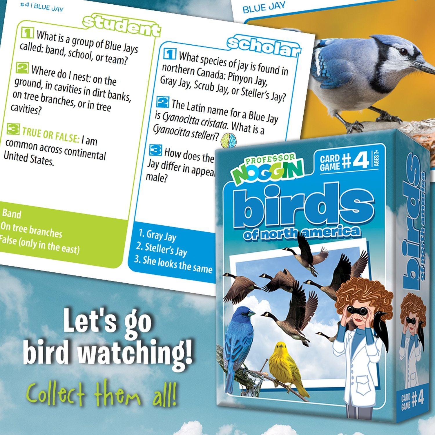 Outset Media - Professor Noggin's (Birds of North America)