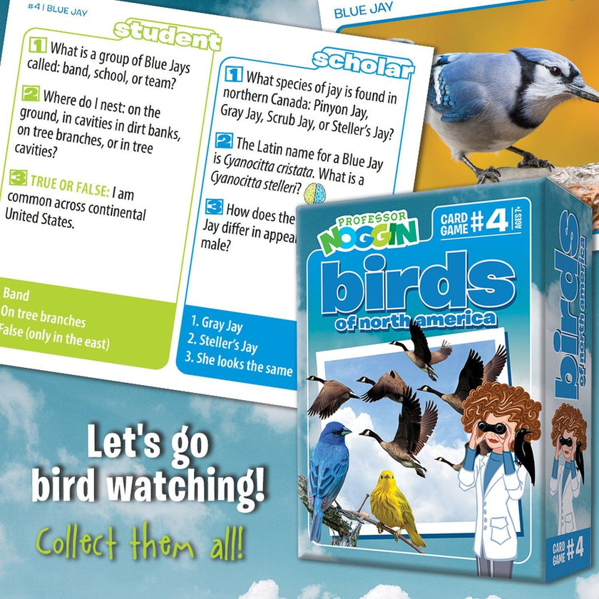 Outset Media - Professor Noggin's (Birds of North America)