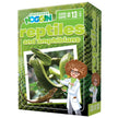 Outset Media - Professor Noggin's (Reptiles And Amphibians)