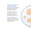 PCA Skin Hydrating Toner