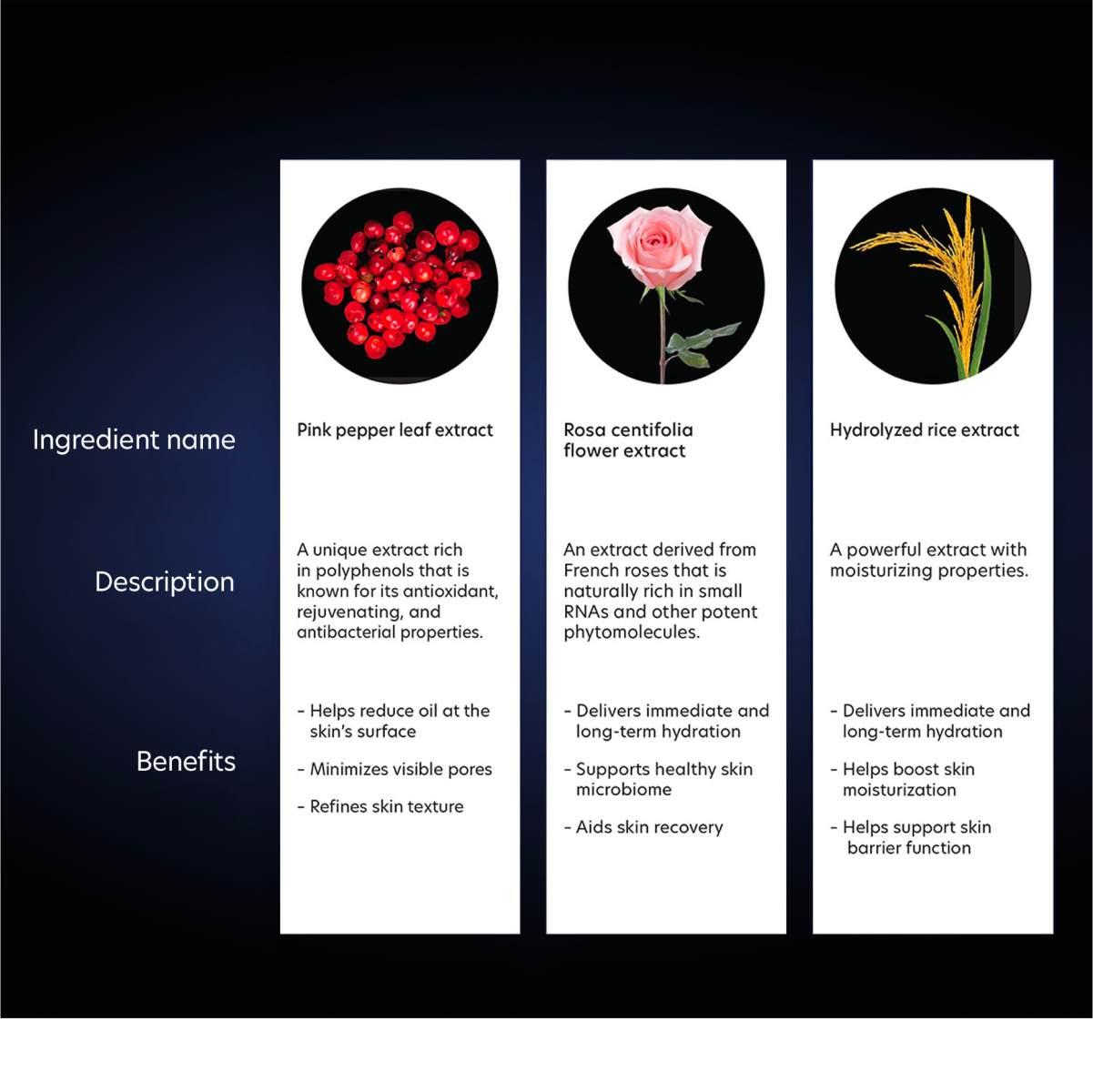 PCA Skin Hydramatte