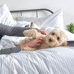 Essential Organic Percale Collection Duvet Cover