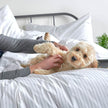 Essential Organic Percale Collection Pillowcase Set